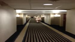 Hotel Corridor Walk